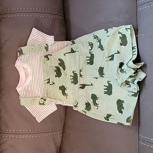 Baby Zoo Outfit